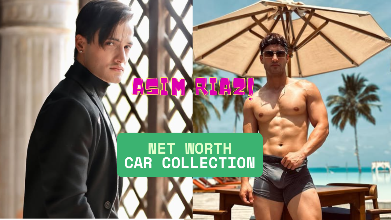 asim riaz net worth/gossipmusically
